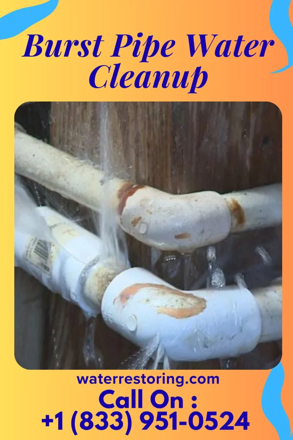 Burst Pipe Water Cleanup in Montpelier, IN