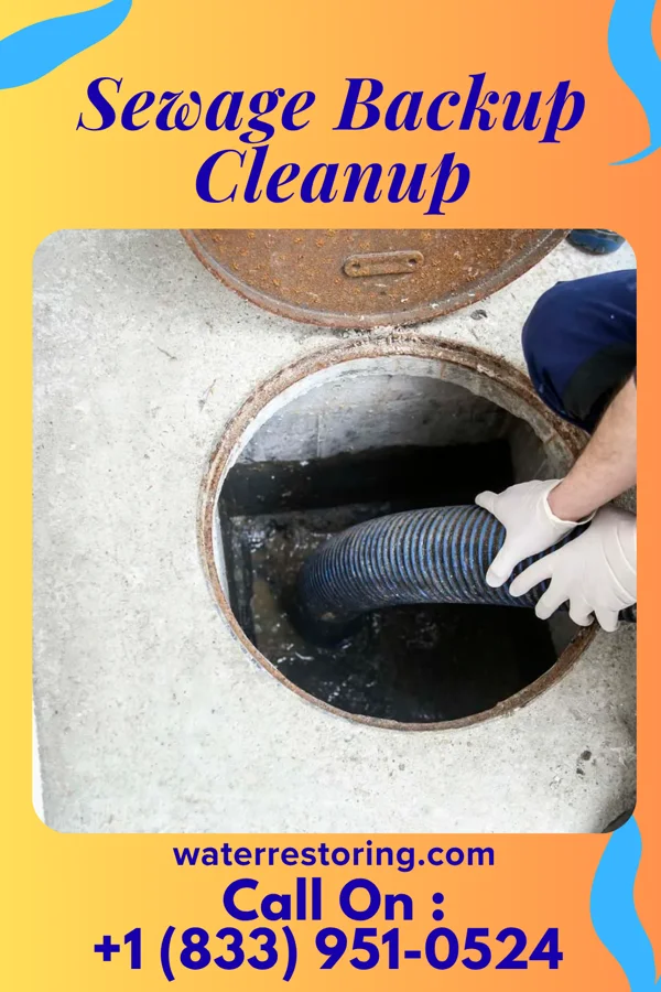 Sewage Backup Cleanup in Montpelier, IN