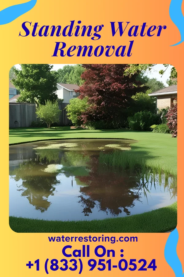Standing Water Removal in Montpelier, IN
